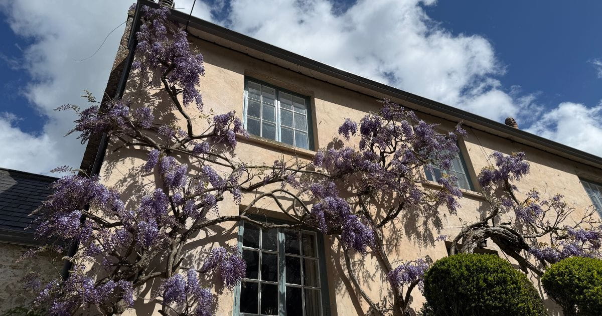 Nature walks near me Wisteria Amberley