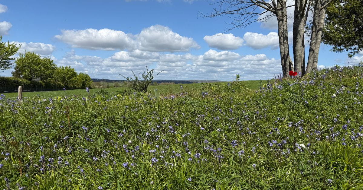 Summer walks near me Amberley countryside views