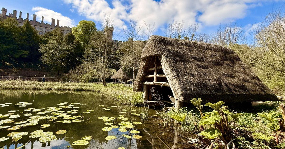 Conservation dipping ponds things to do with kids in Arundel