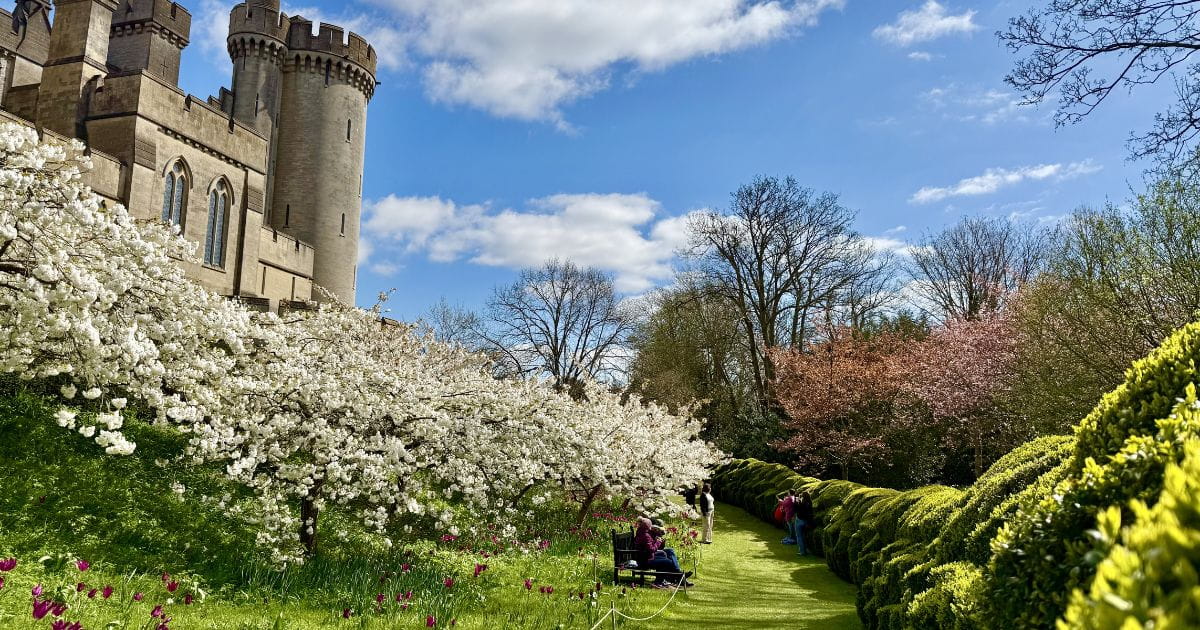 Wildlife nature trees flowers walks Arundel Castle
