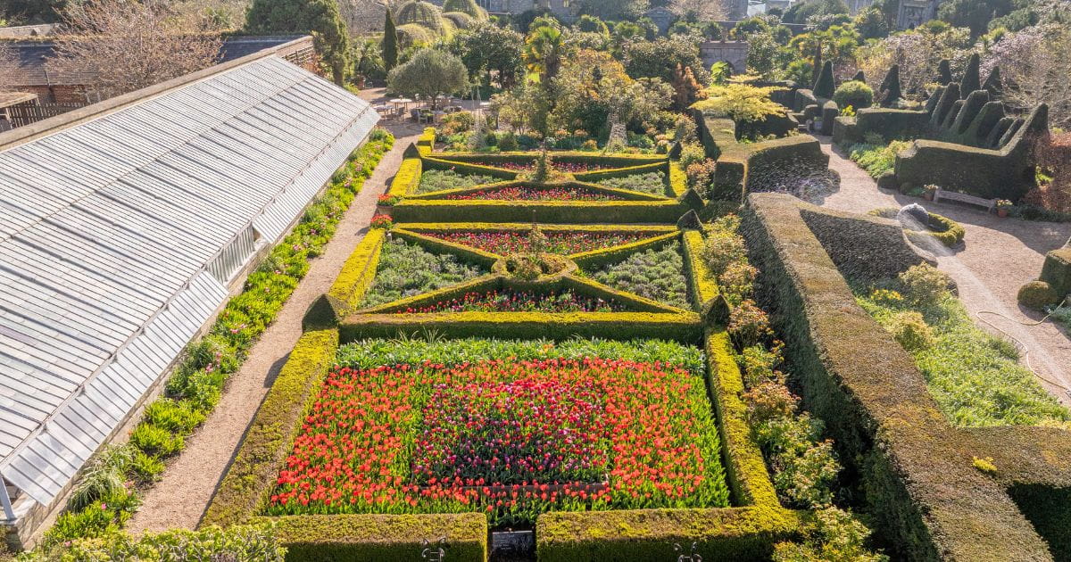 Colourful tulip beds at Arundel Castle during the Arundel Tulip Festival