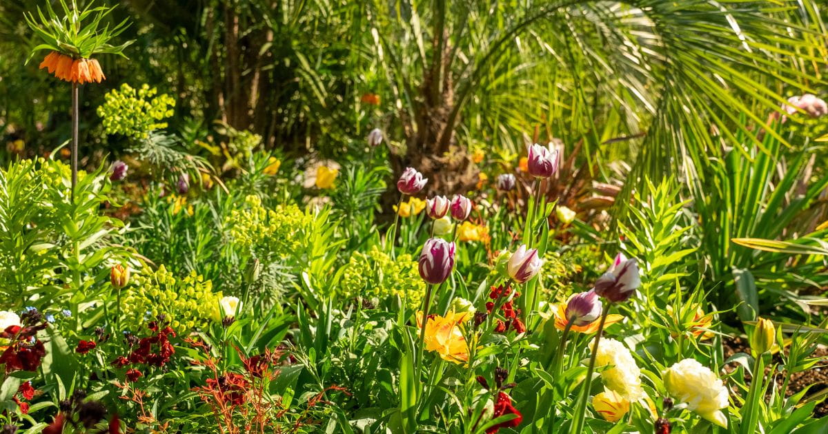 Colourful tulip displays during the Arundel Tulip Festival at Arundel Castle in West Sussex
