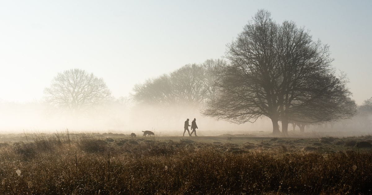 Winter walks for mental health