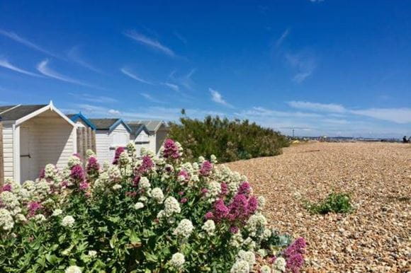 Shoreham by sea blog hero