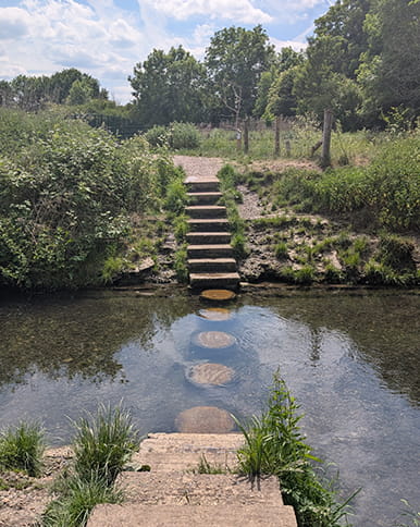 A pathway through a small stream