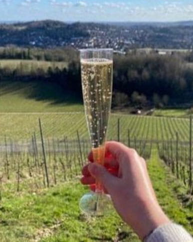 Denbies vineyard tour