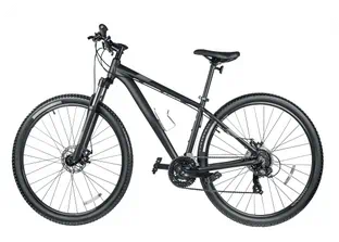 Image of a regular full size bike