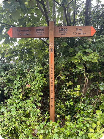A signpost under a tree