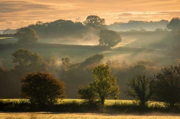 Arun Valley Line Article Hero