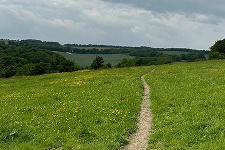 Scenic path in the countryside