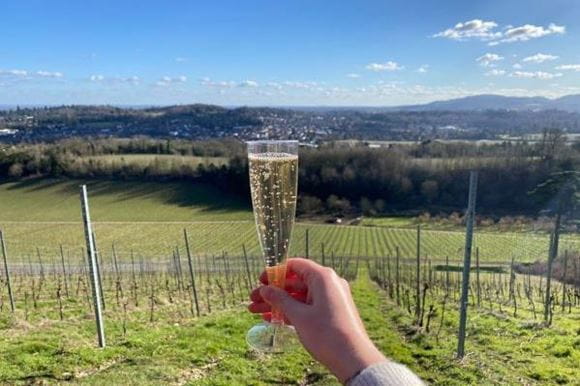 Denbies Wine Tour Article Hero