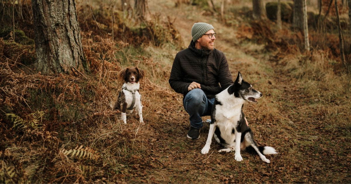 Dog friendly woodland walks Sussex
