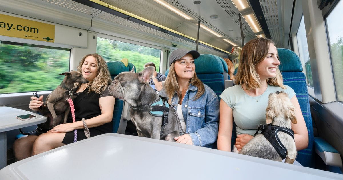 Taking your dog on the train Southern Railway