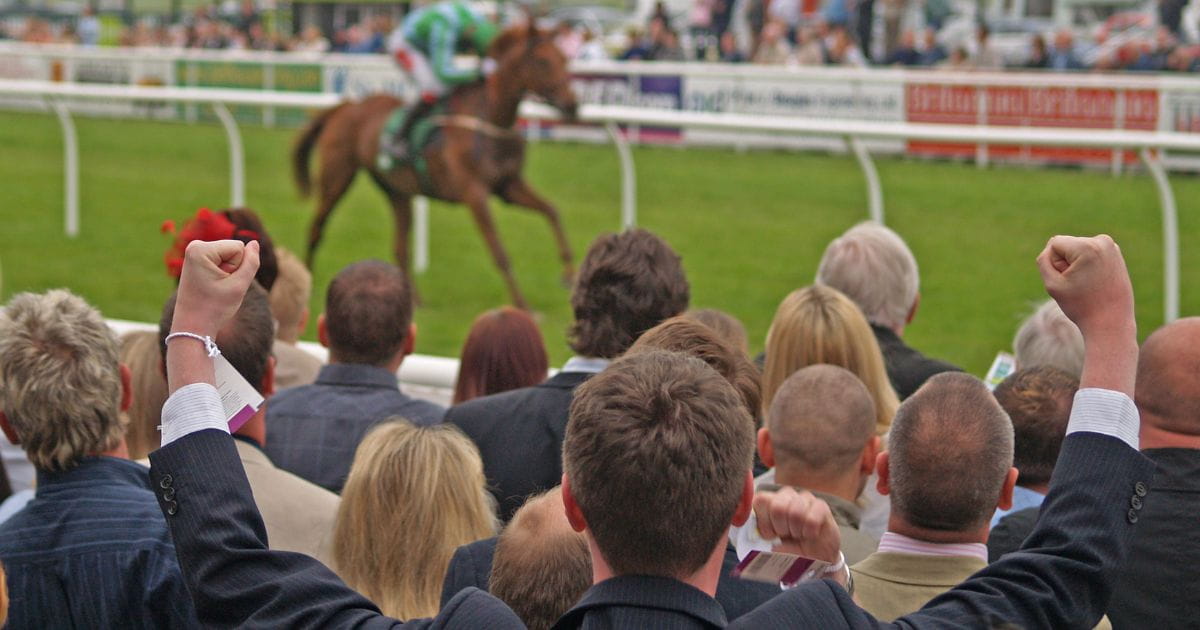 Epsom Derby Man Celebrating