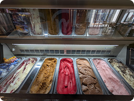 Epsom and Ewell day out