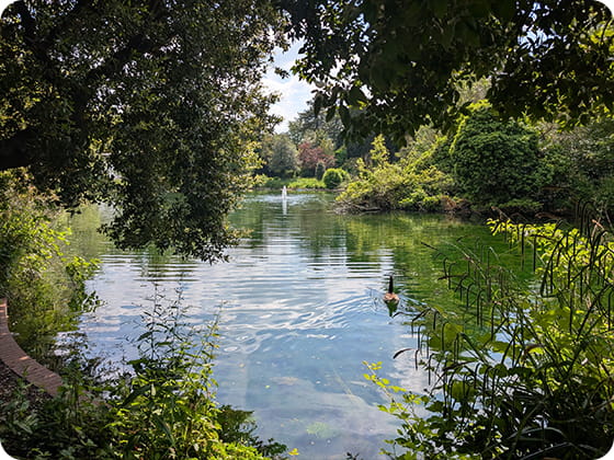 Epsom and Ewell day out