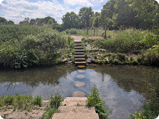 Epsom and Ewell day out