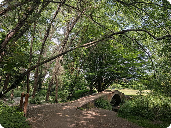 Epsom and Ewell day out