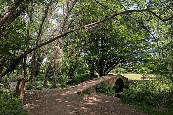 Epsom and Ewell day out