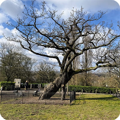 Forest Hill day out