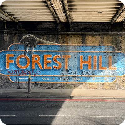 Forest Hill day out