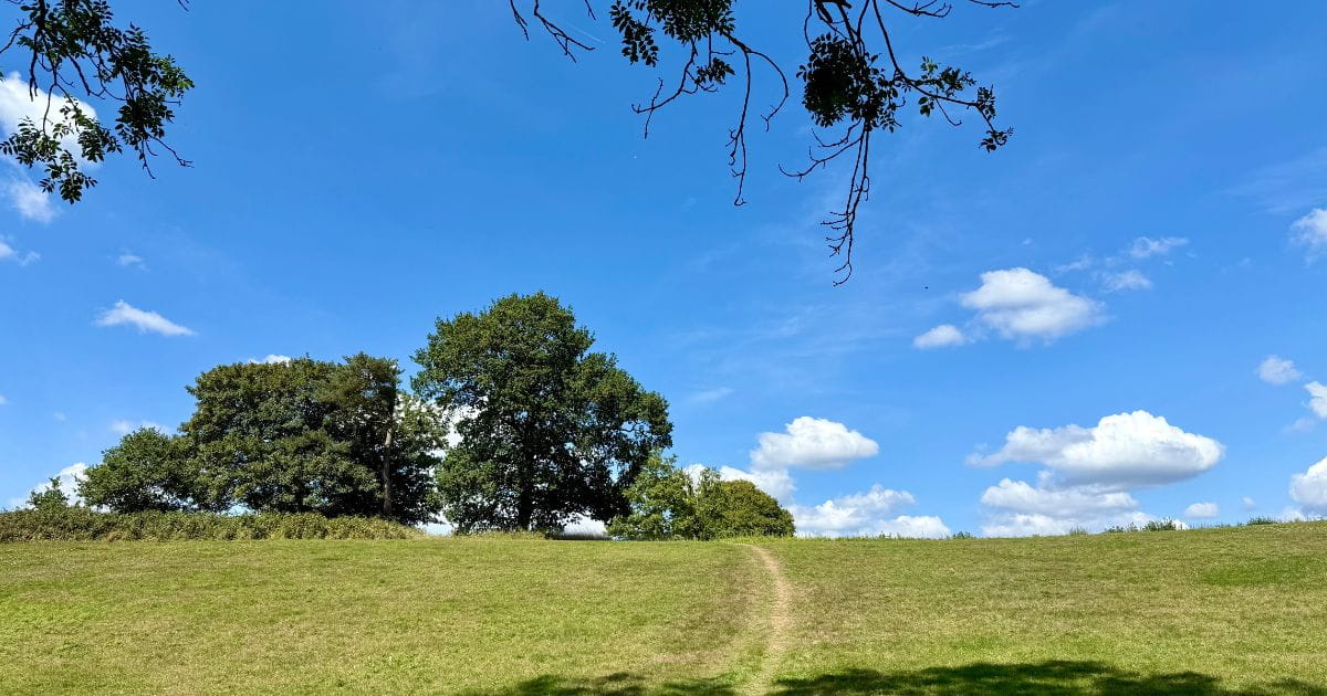 Beautiful Walk Go Jauntly East Grinstead