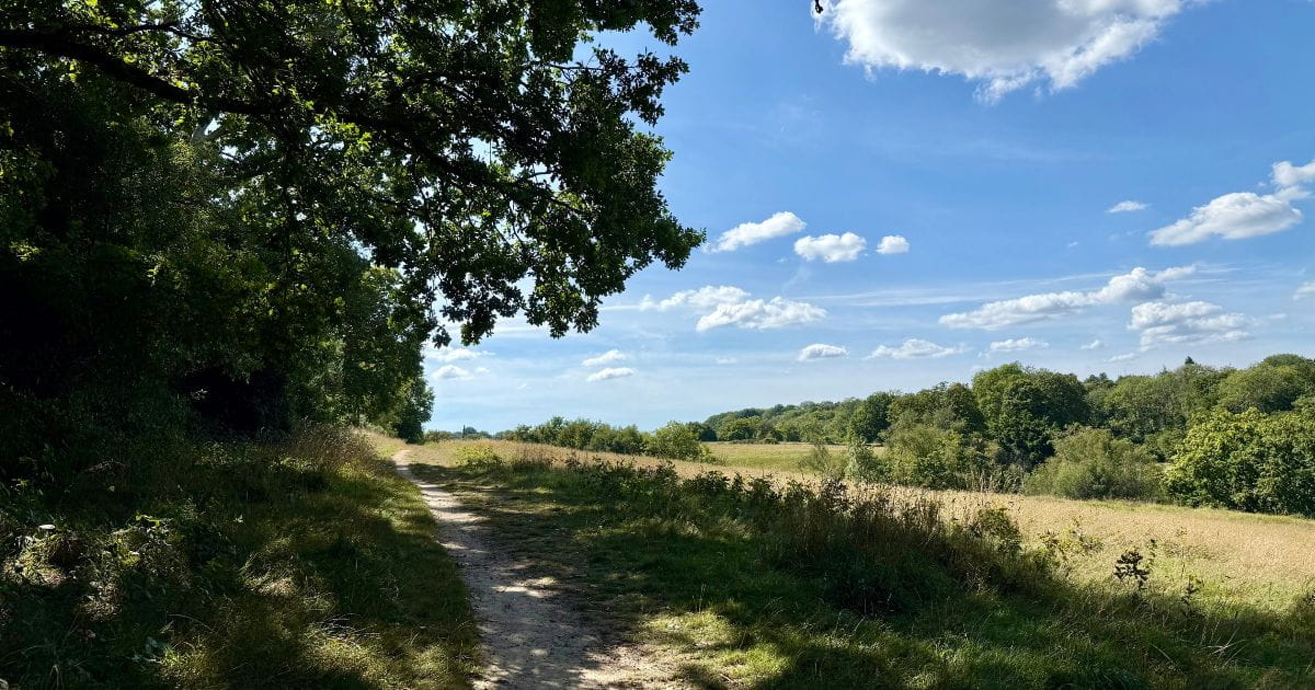 Go Jauntly Walk East Grinstead