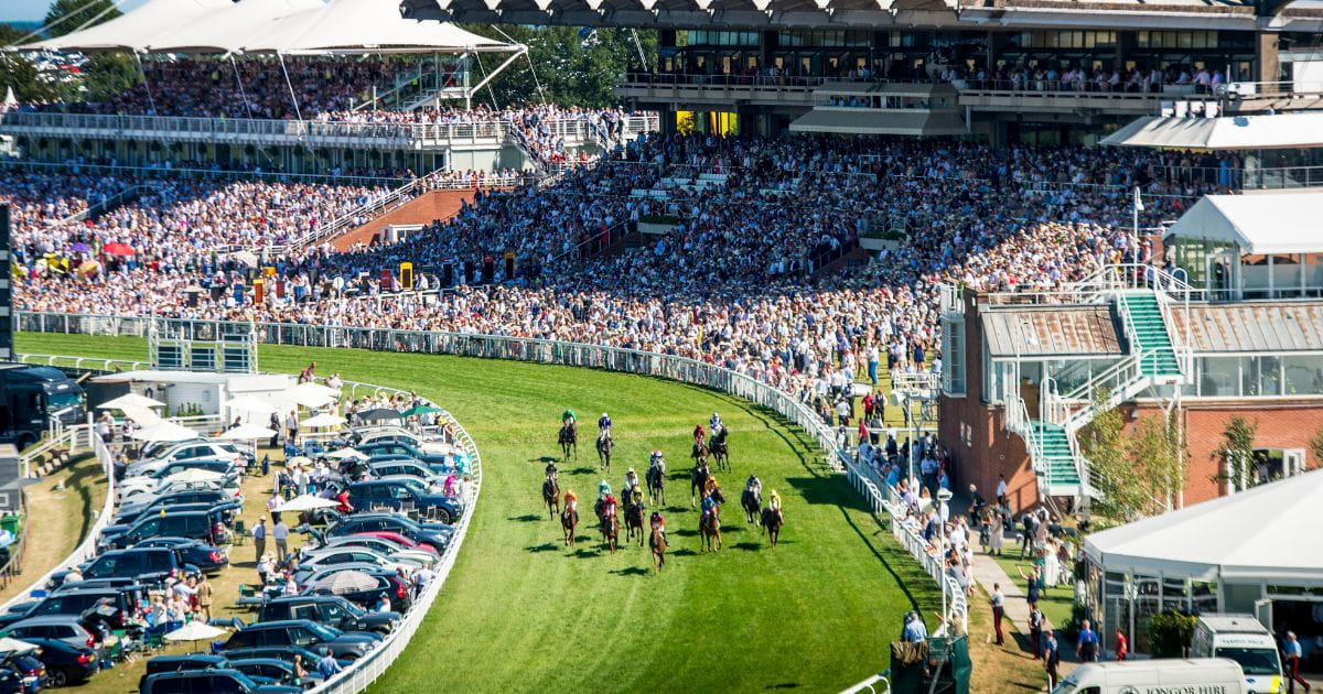 Horse racing at Goodwood image credit Jayson Fong