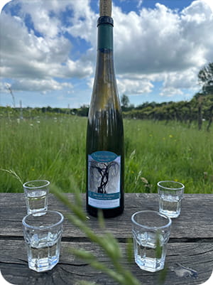 Horsham vineyards