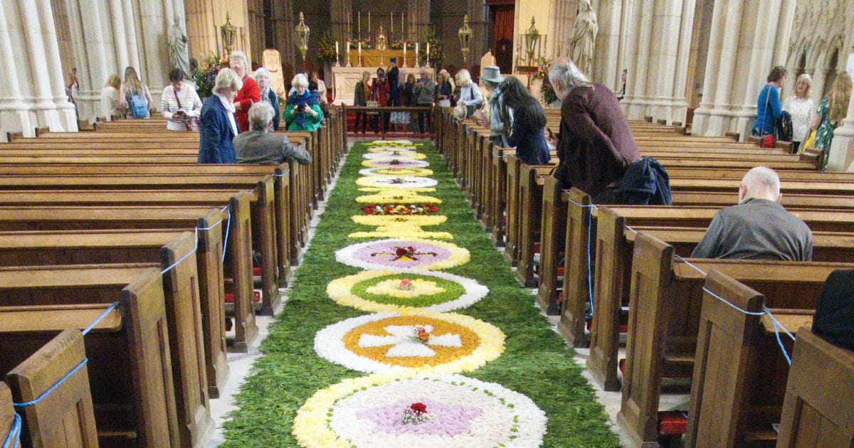 Arundel Carpet of Flowers