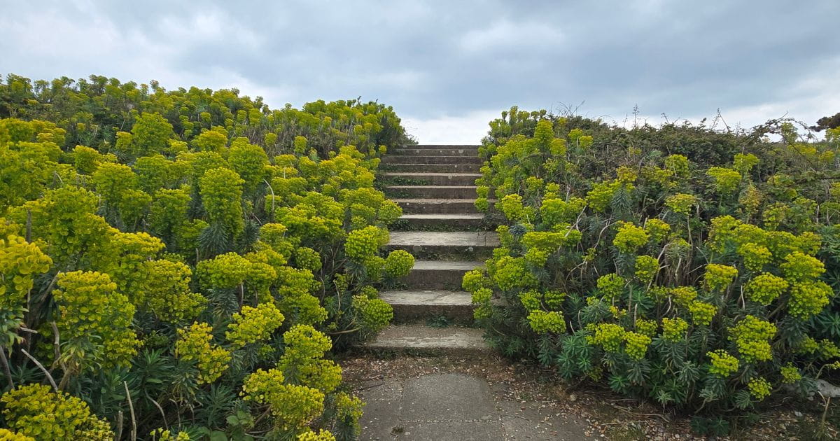 Nature walks things to do in Pevensey