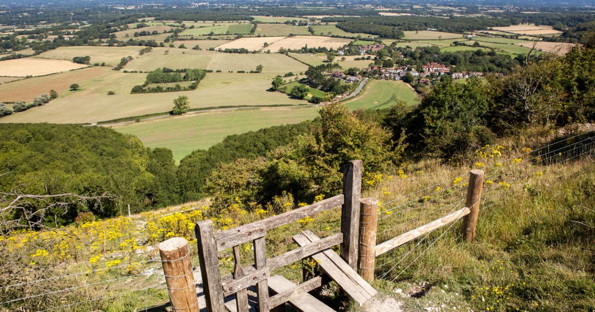 South Downs Way Stile