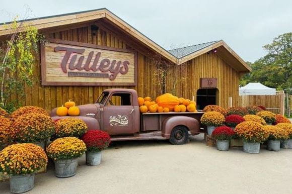 Tulleys Farm Pumpkins Blog Hero