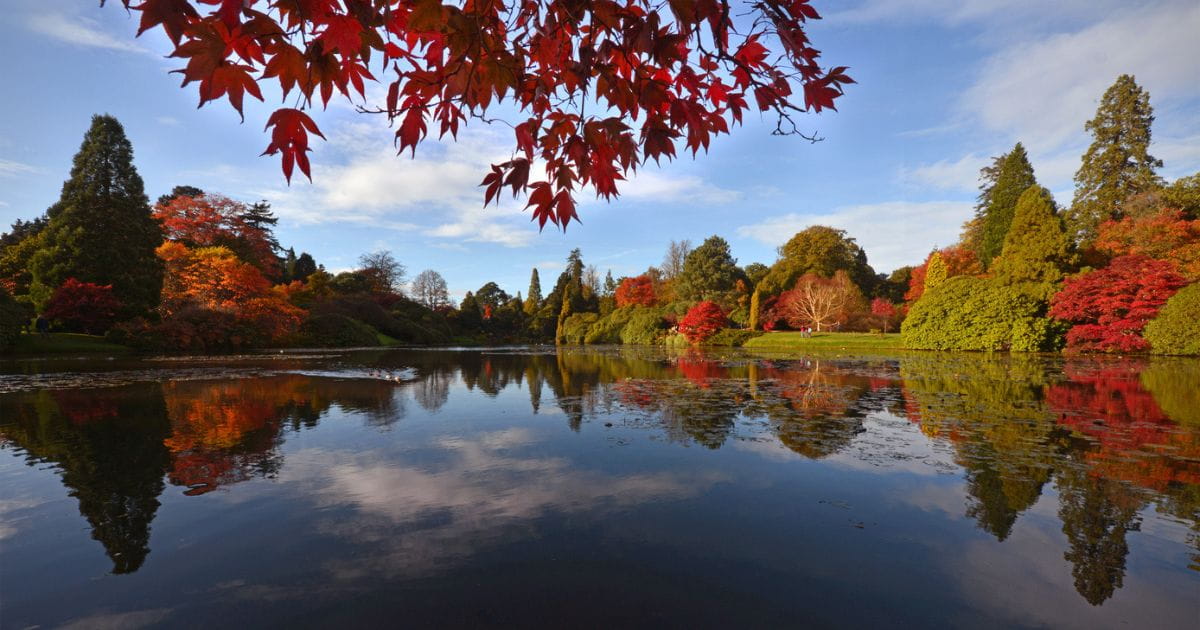 Sheffield Park and Gardens near Uckfield