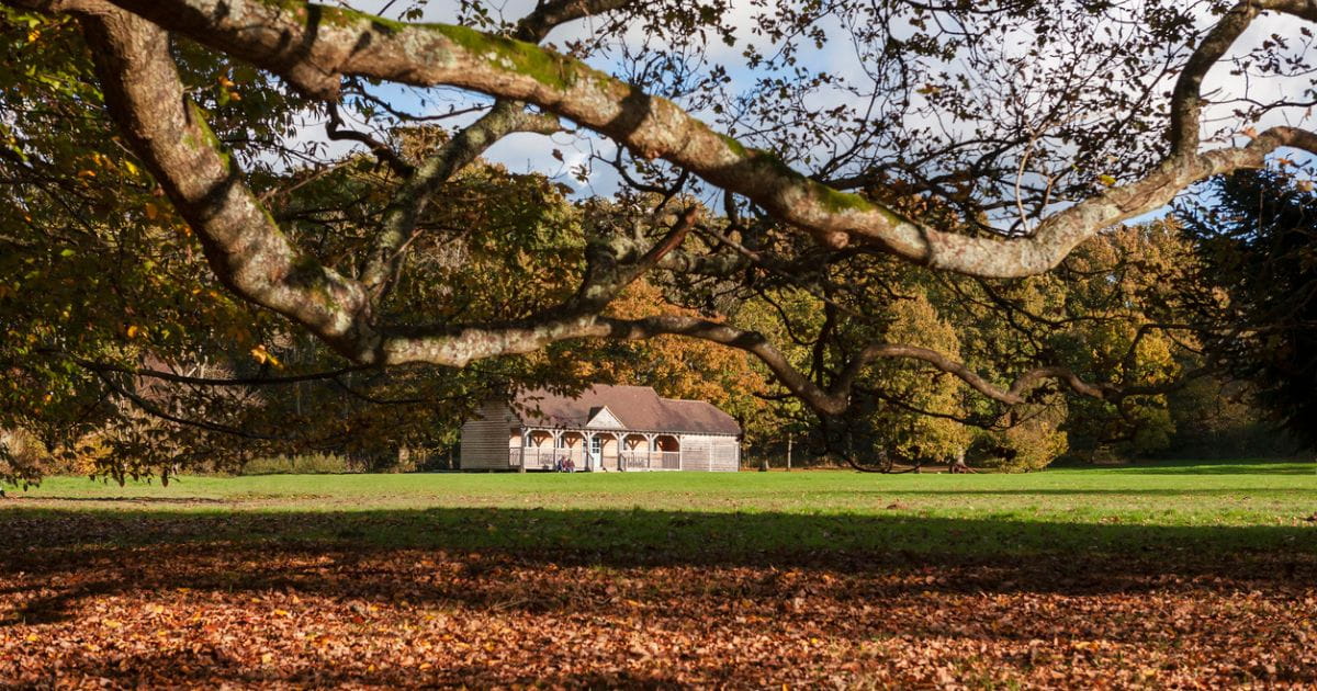 A country cricket pitch and pavilion near Uckfield, East Sussex, England, UK stock photo