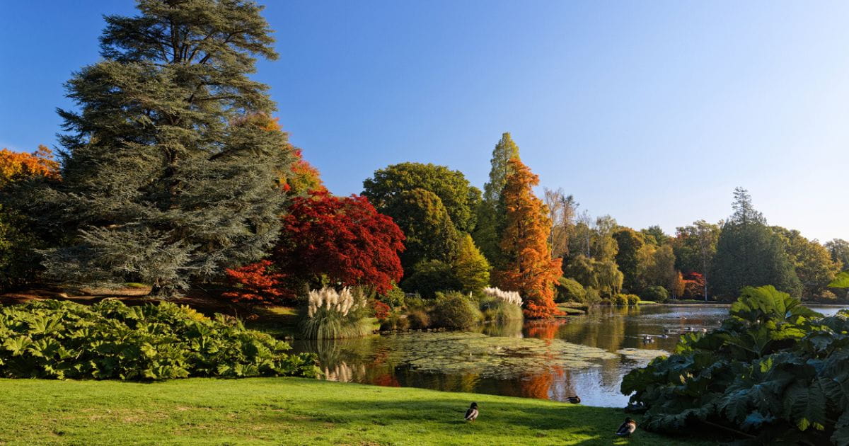 Sheffield Park Uckfield walks