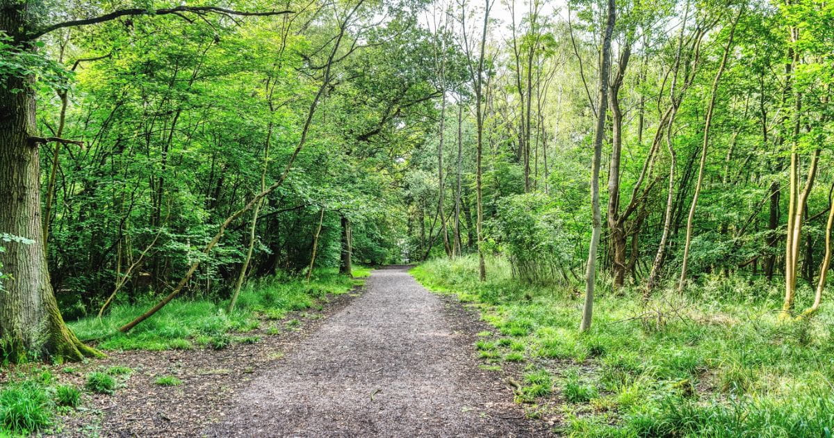 Uckfield walks countryside