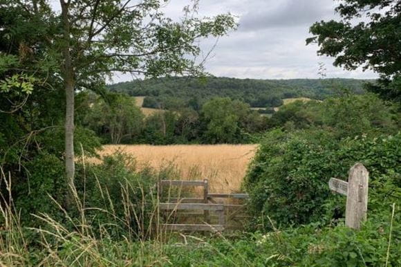 Uckfield walks English countrsyide