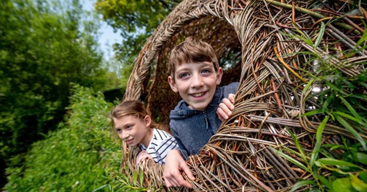 Arundel Wetland Centre things to do with kids