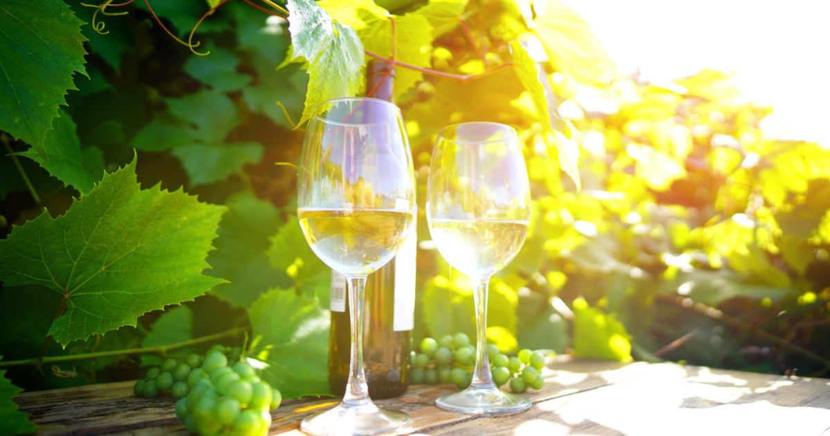 Wine tasting and tours south east England