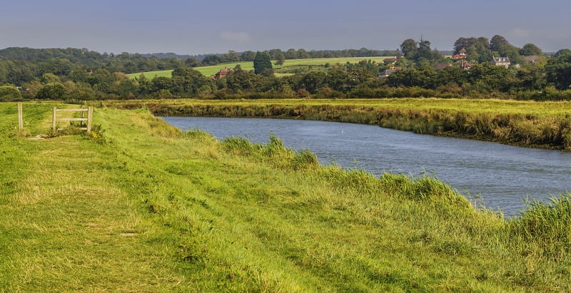 a river with a lush green field
