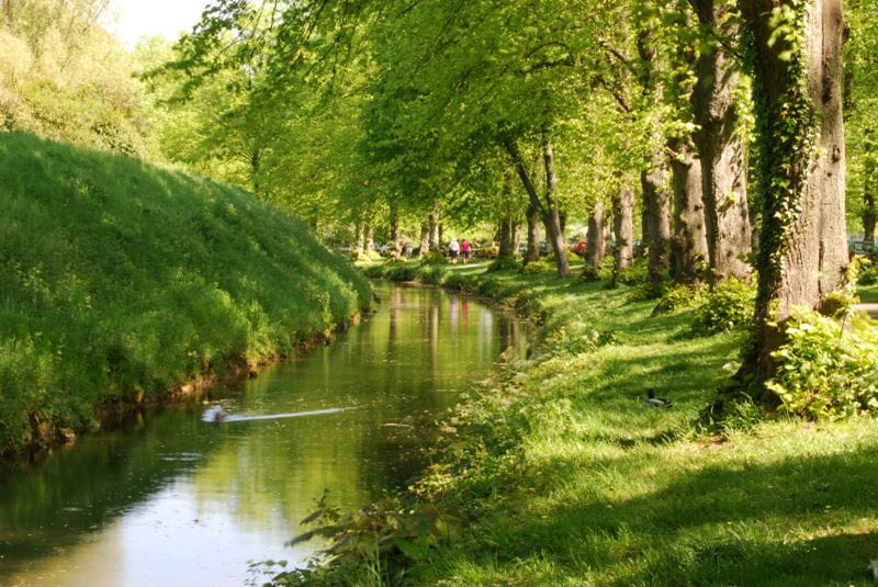 a river surrounded by green grass and trees