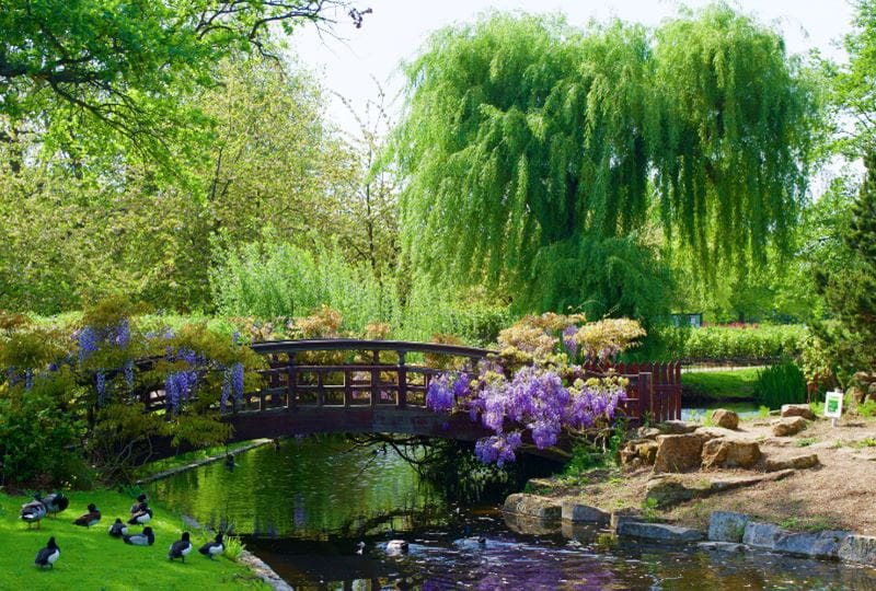 a small pond in a garden