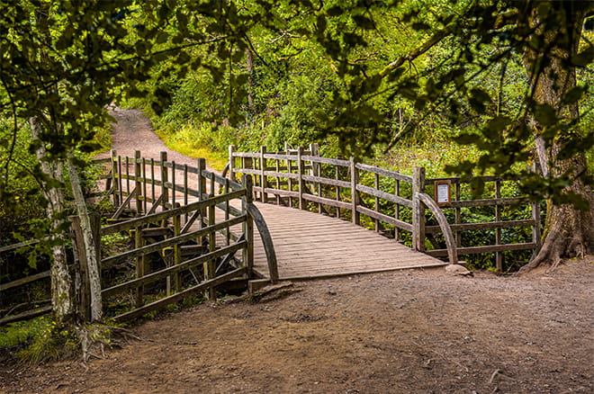 Pooh Bridge