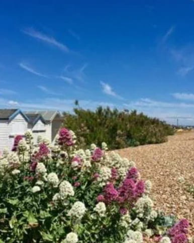 Local guide to Shoreham by Sea