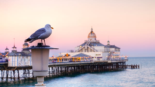 Eastbourne