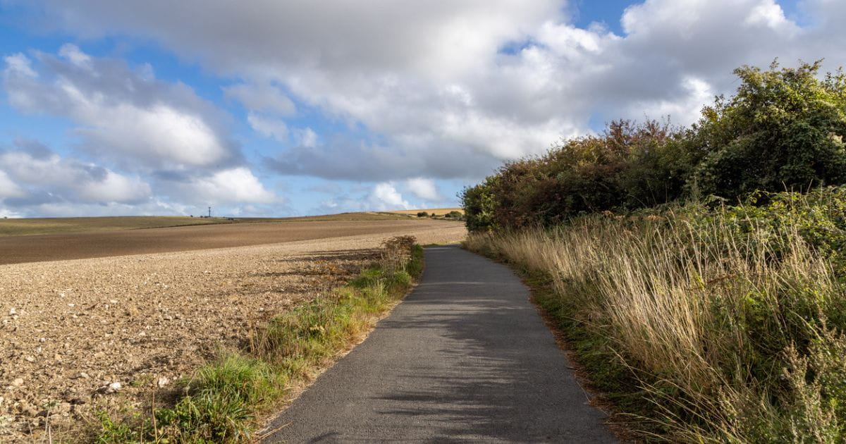 Falmer hiking loop