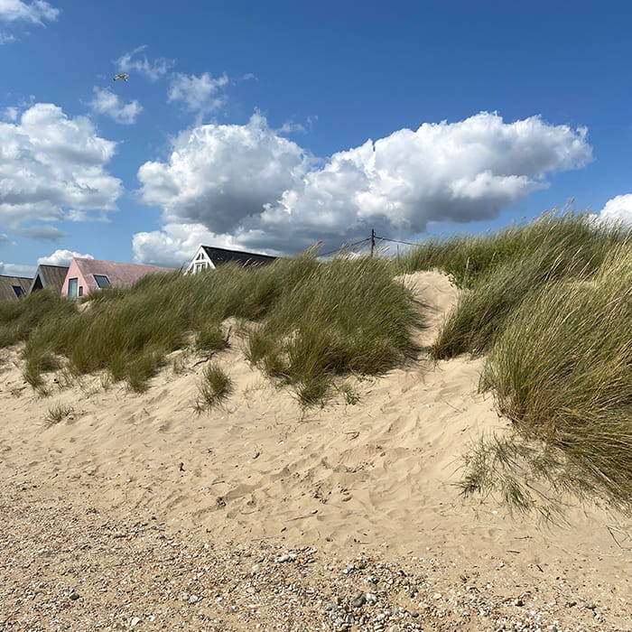 Grassy and sandy dunes with houses in the distance