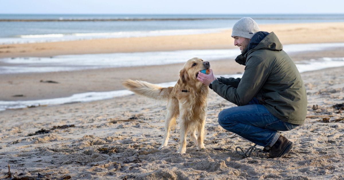 Dog friendly coastal walks Hampshire Southampton beach