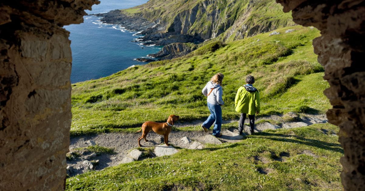 Dog friendly coastal walks Sussex